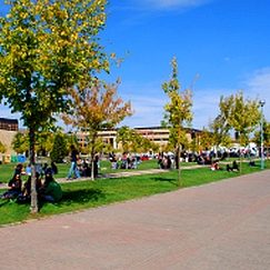 Imagen de un campus universitario