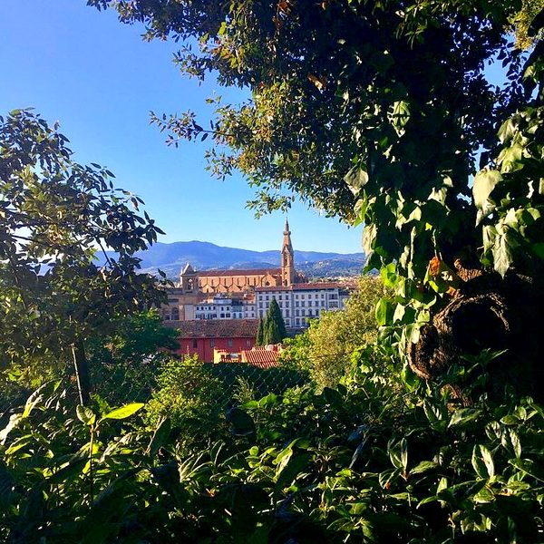Imagen de un paísaje en dirección hacia el pueblo de Florencia