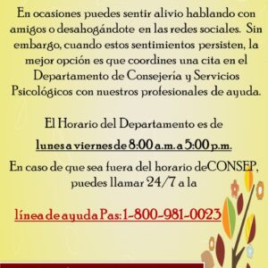 Servicios CONSEP