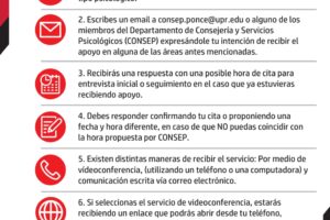 Pasos para solicitar servicios de CONSEP