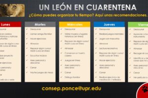 Promoción Un León en Cuarentena