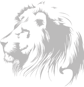Imagen decorativa tipo dibujo en blanco y negro de la cara de un león adulto. Esta tiene como proposito ser sustituido por un anuncio real. Imagen decorativa tipo dibujo en blanco y negro de la cara de un león adulto. Esta tiene como proposito ser sustituido por un anuncio real.