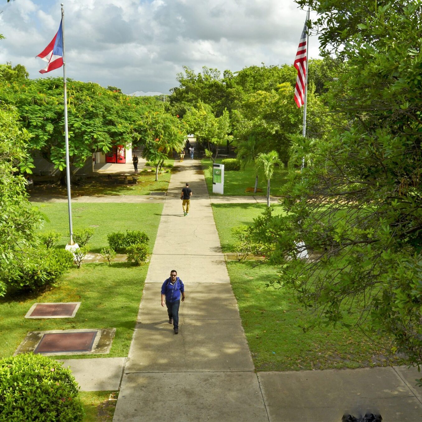 Imagen decorativa de la Foto de, como se ve de a lo lejos, el camino o pasillo central que lleva a todas las areas de la universidad.