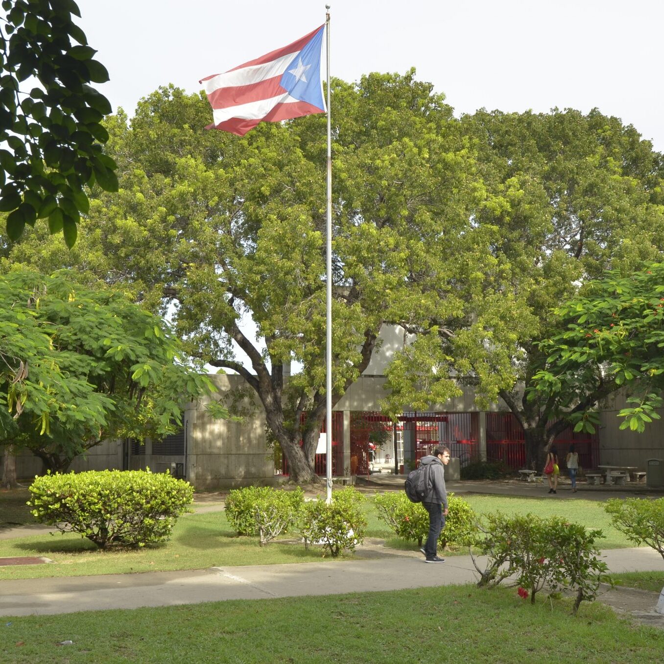 Imagen decorativa de la Foto de, como se ve de a lo lejos, la Bandera de Puerto Rico, que esta dentro del recinto.