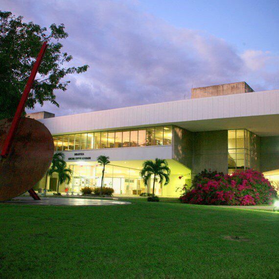 Imagen decorativa de la Foto nocturna de, como se ve de a lo lejos, el Recta Ratio frente al Edificio de la Biblioteca A. Coppin