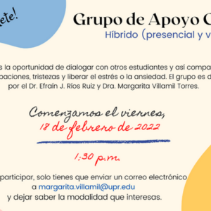 Grupo de Apoyo Híbrido (Presencial y Virtual)