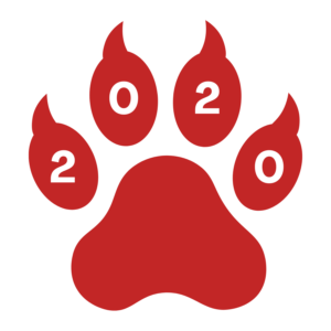 Boletines 2020 (1)