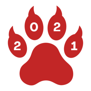 Boletines 2021